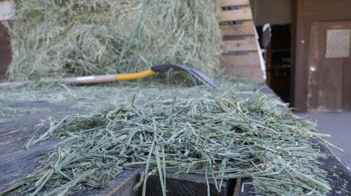 Screen Shot 2021-08-13 at 3.21.25 PM.png