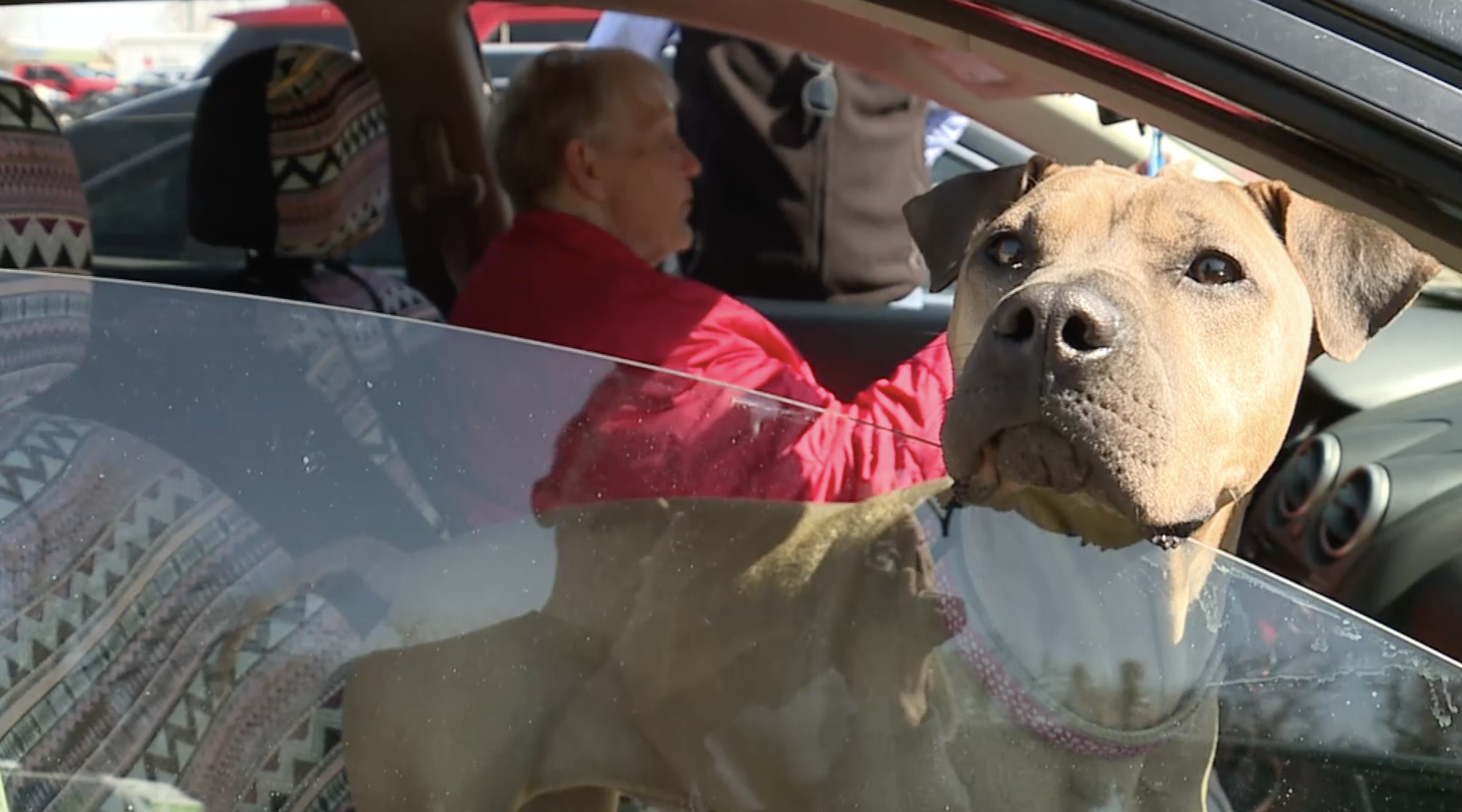 Bonnie Lockyer Jackson County Regional Animal Shelter