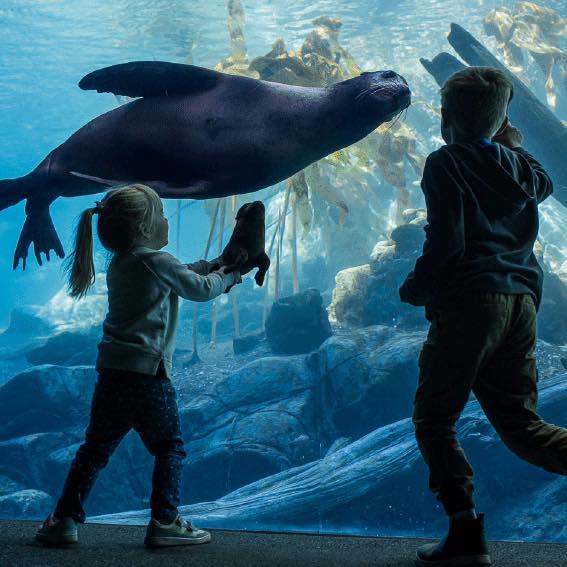 Kids at Sea Lion exhibit, Henry Doory Zoo