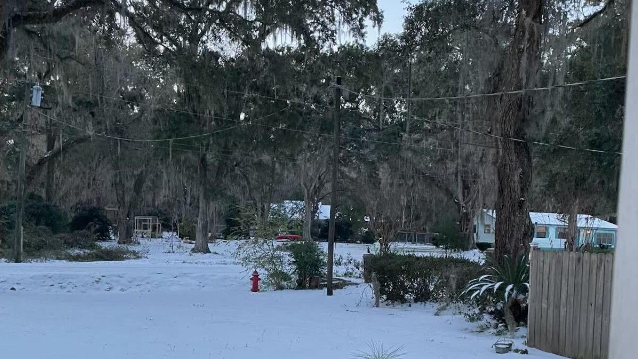 Snow in Tallahassee 2025
