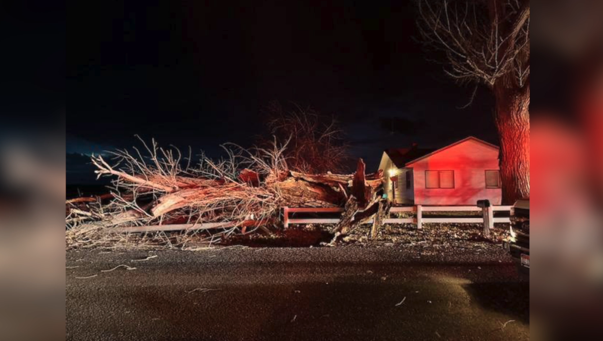 Twin Falls kids hospitalized after tree falls at bus stop - community rallies with support