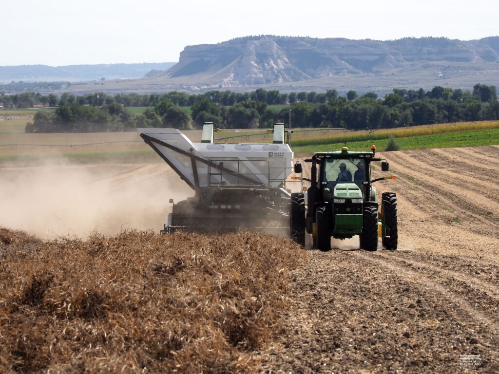Dry-Bean-Harvest.jpg
