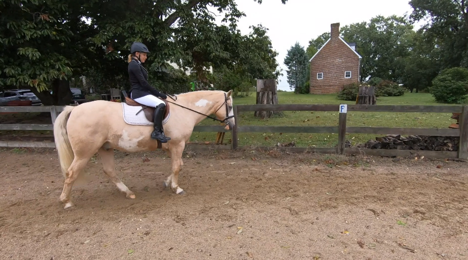 Scoliosis limited what she could do. Horses allowed her to become a champion.