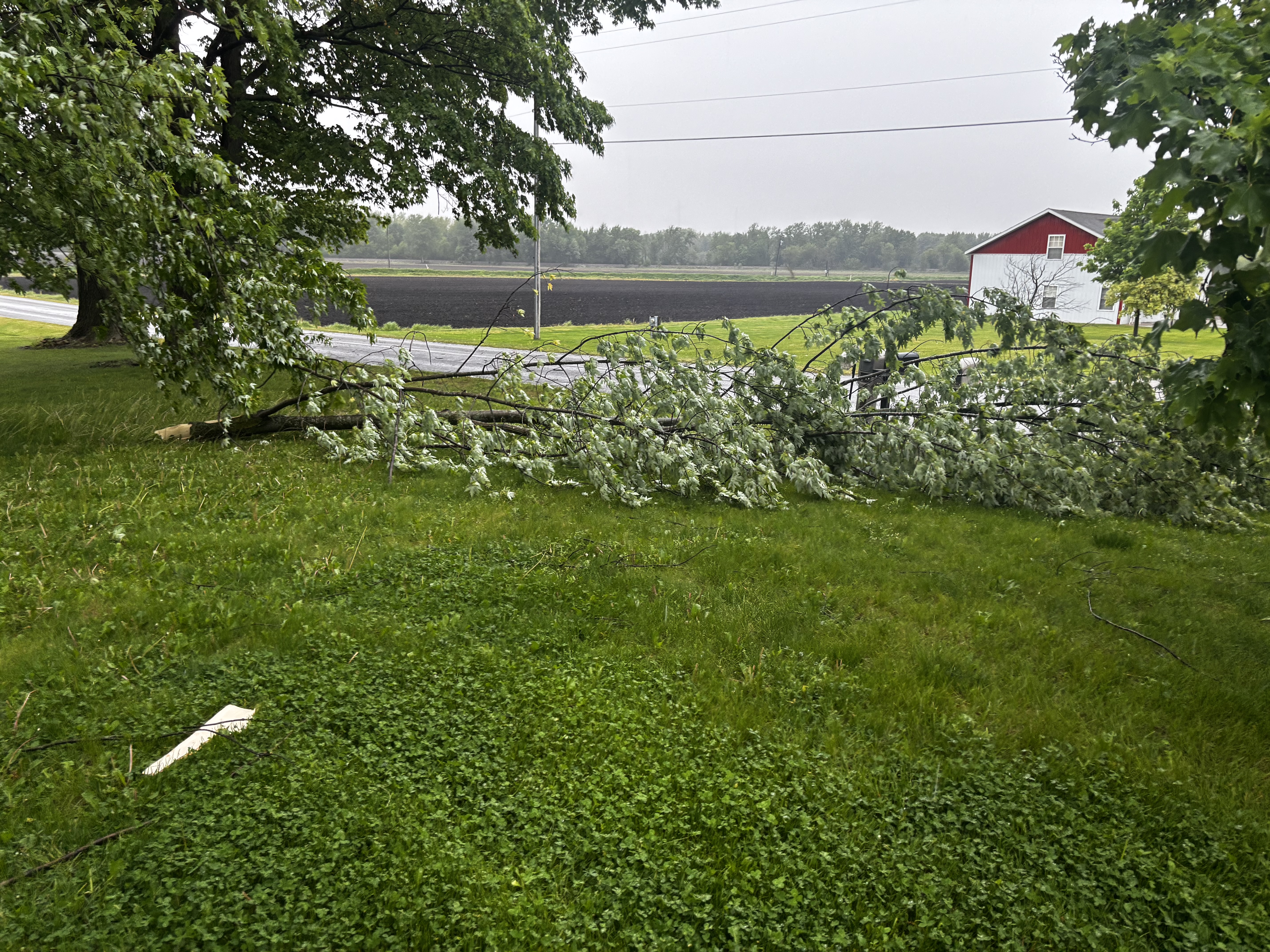 Kent County storm damage