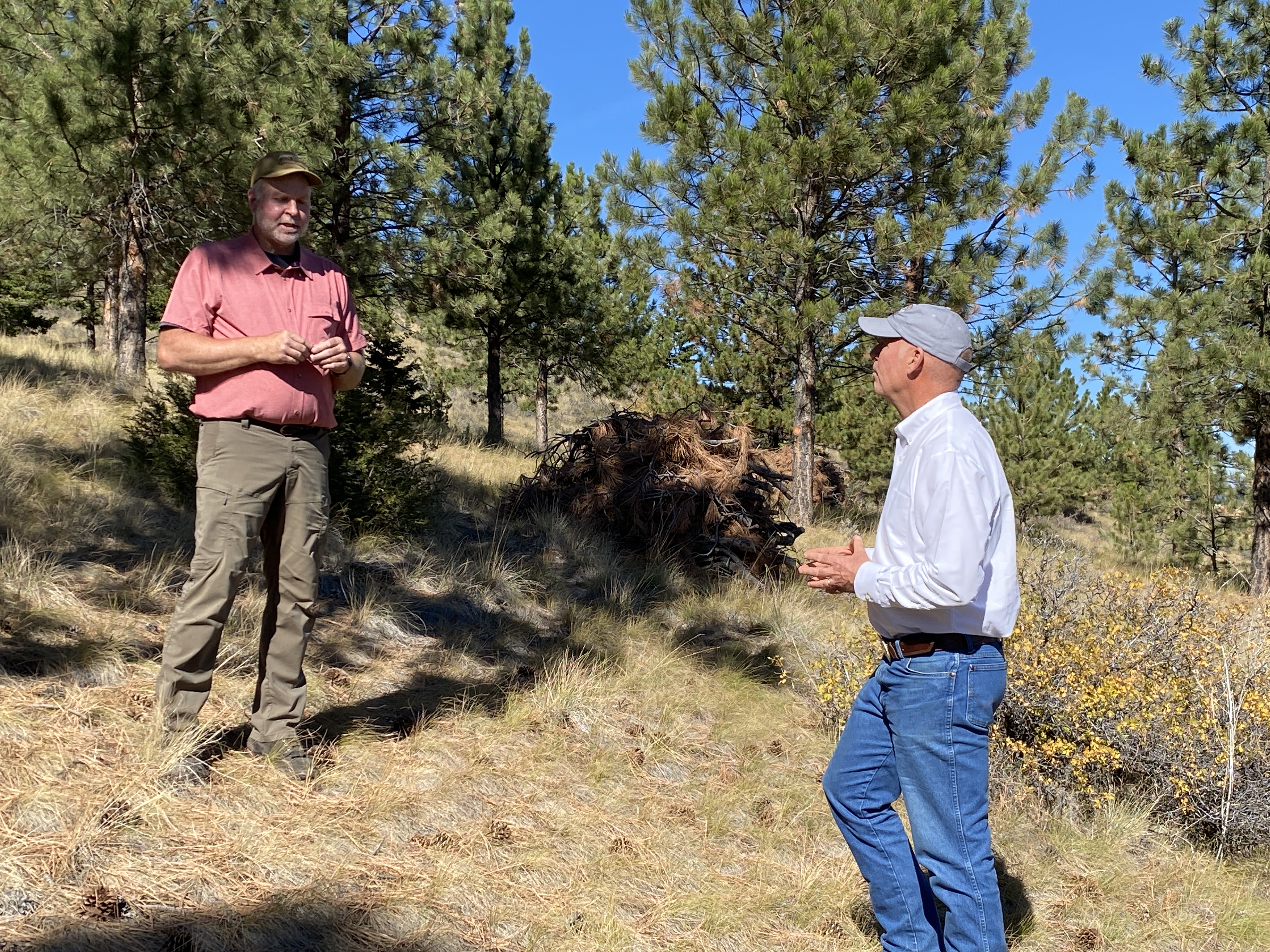 Gianforte Mount Helena