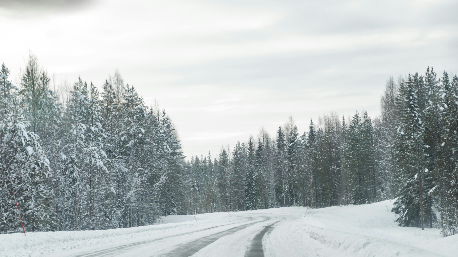 Featured Image Custom Edit (2).png