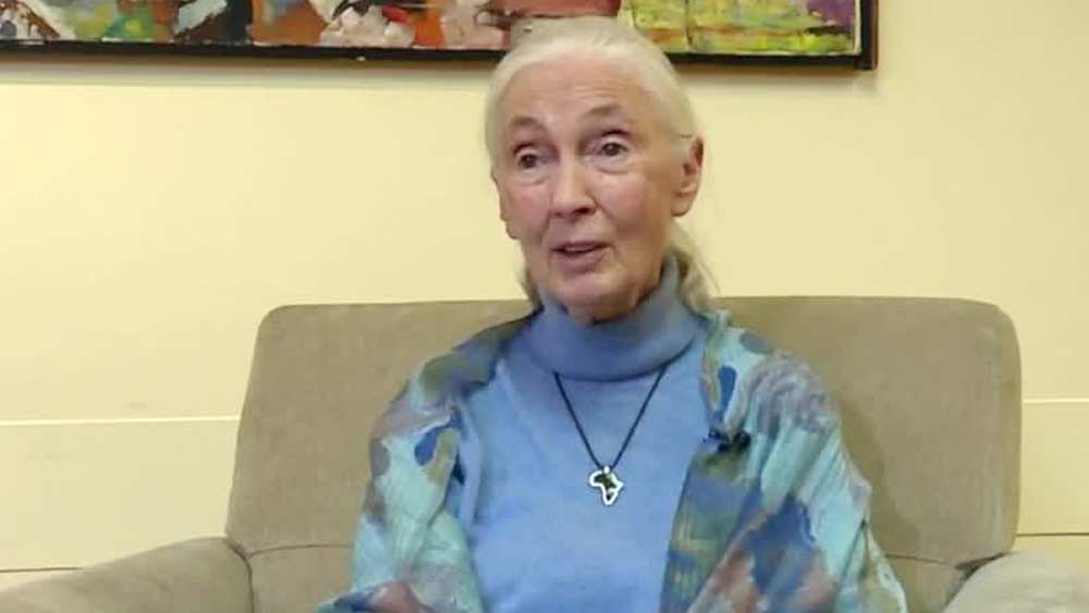 Jane Goodall at Florida Atlantic University of March 19, 2019.