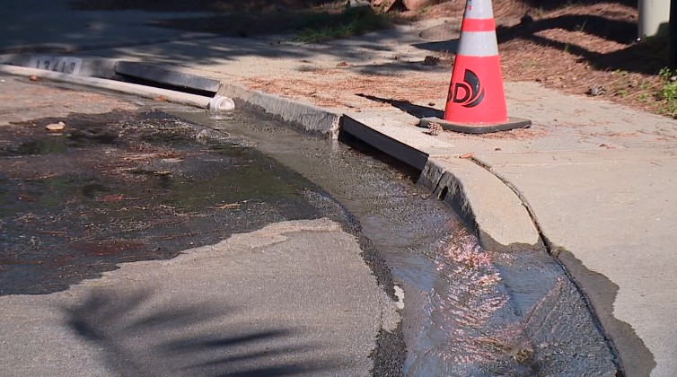 Del Mar Residents Get Answers on Months-Long Water Leak in Cul-De-Sac
