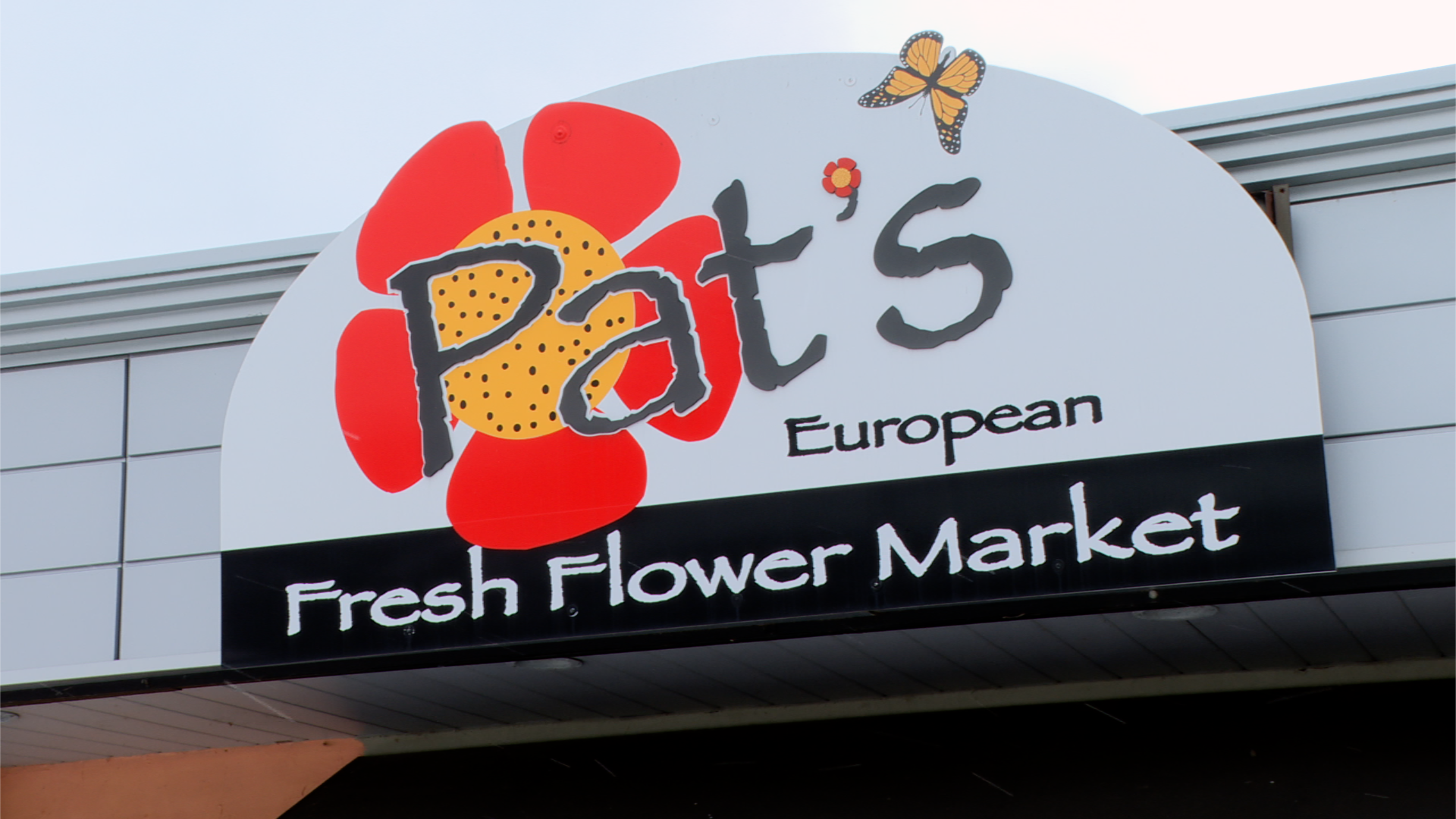 'We have the best loyal customers': 80-year-old owner celebrates small business Saturday 