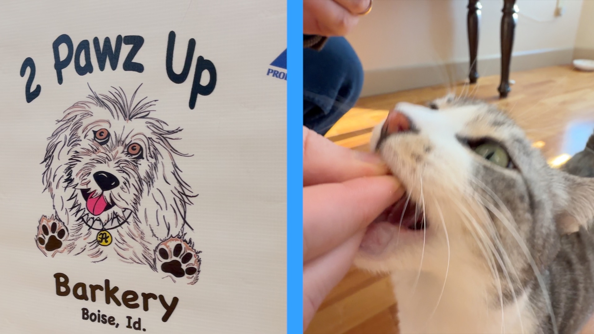 MII 2 Pawz up thumbnail.jpg