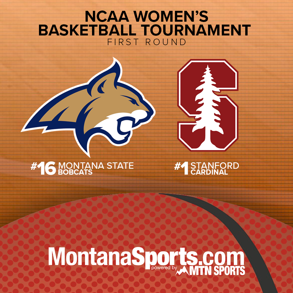 Cats March Madness Women.png
