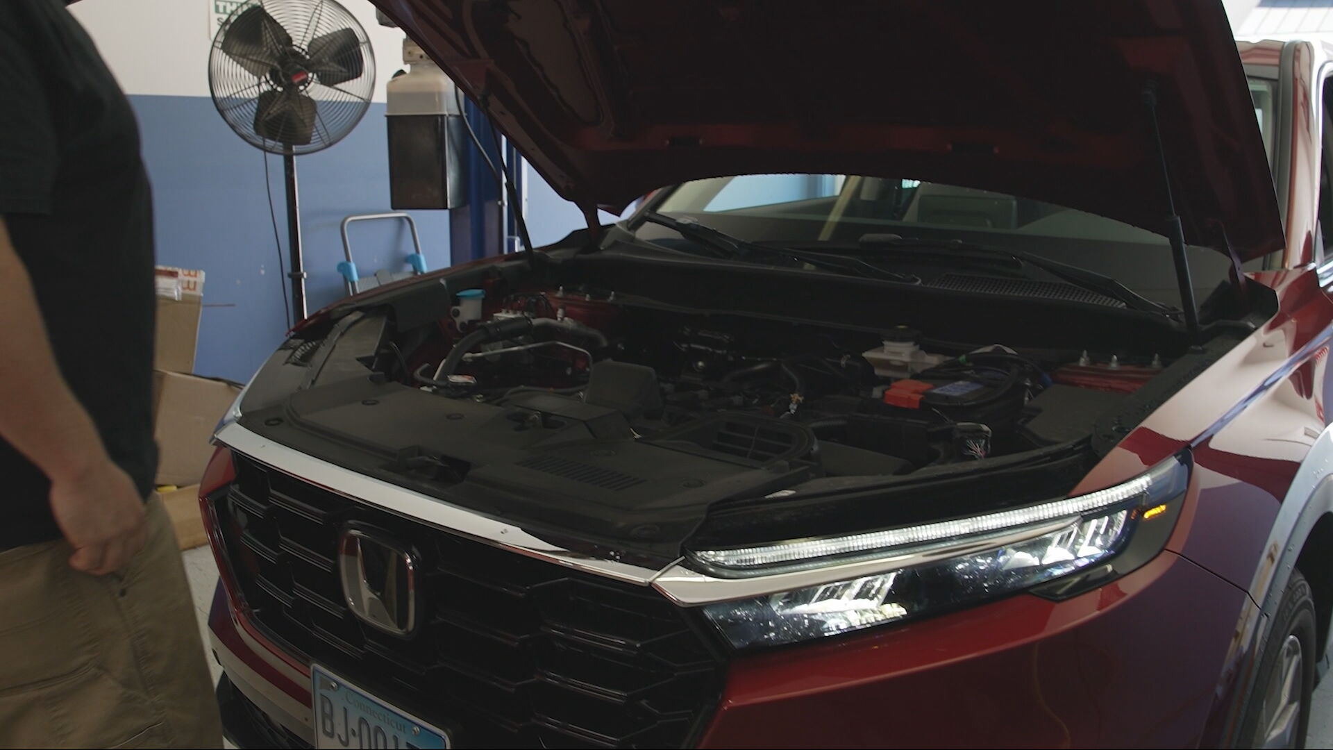 AM CRTV KEEP MICE FROM DAMAGING YOUR CAR PKG.transfer_frame_690.jpeg