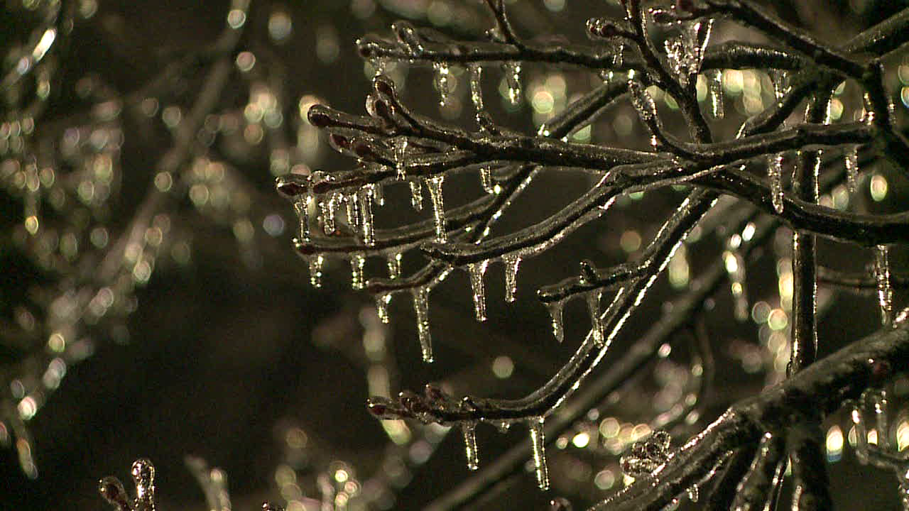 Kzoo Ice Storm