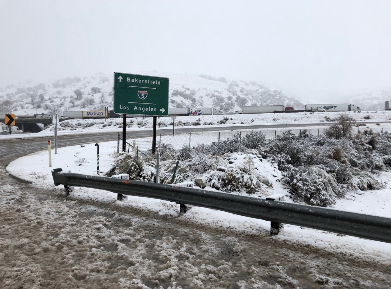 grapevine snow 1