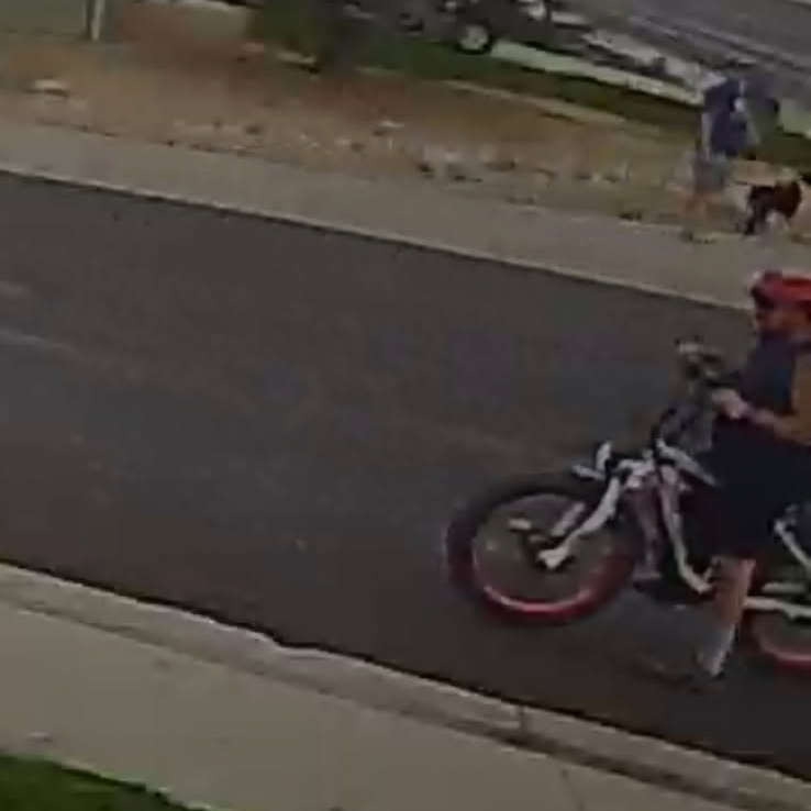 greeley police seek public’s help in identifying cyclist who allegedly shot dog_may 21 2025.jpg