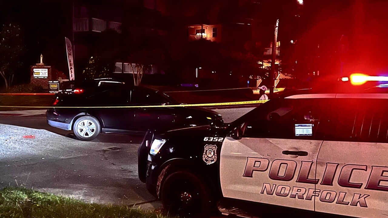 norfolkshooting.jpeg