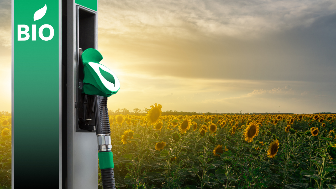 Biofuels (FILE)