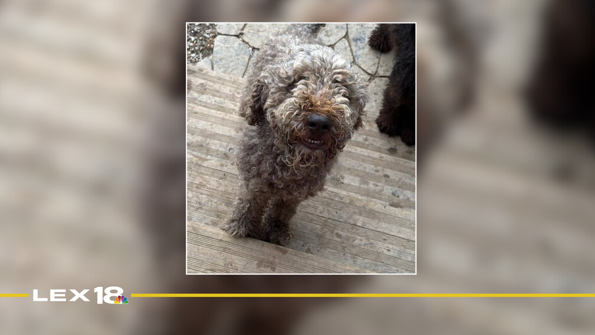 Featured Image Custom Edit (99).png