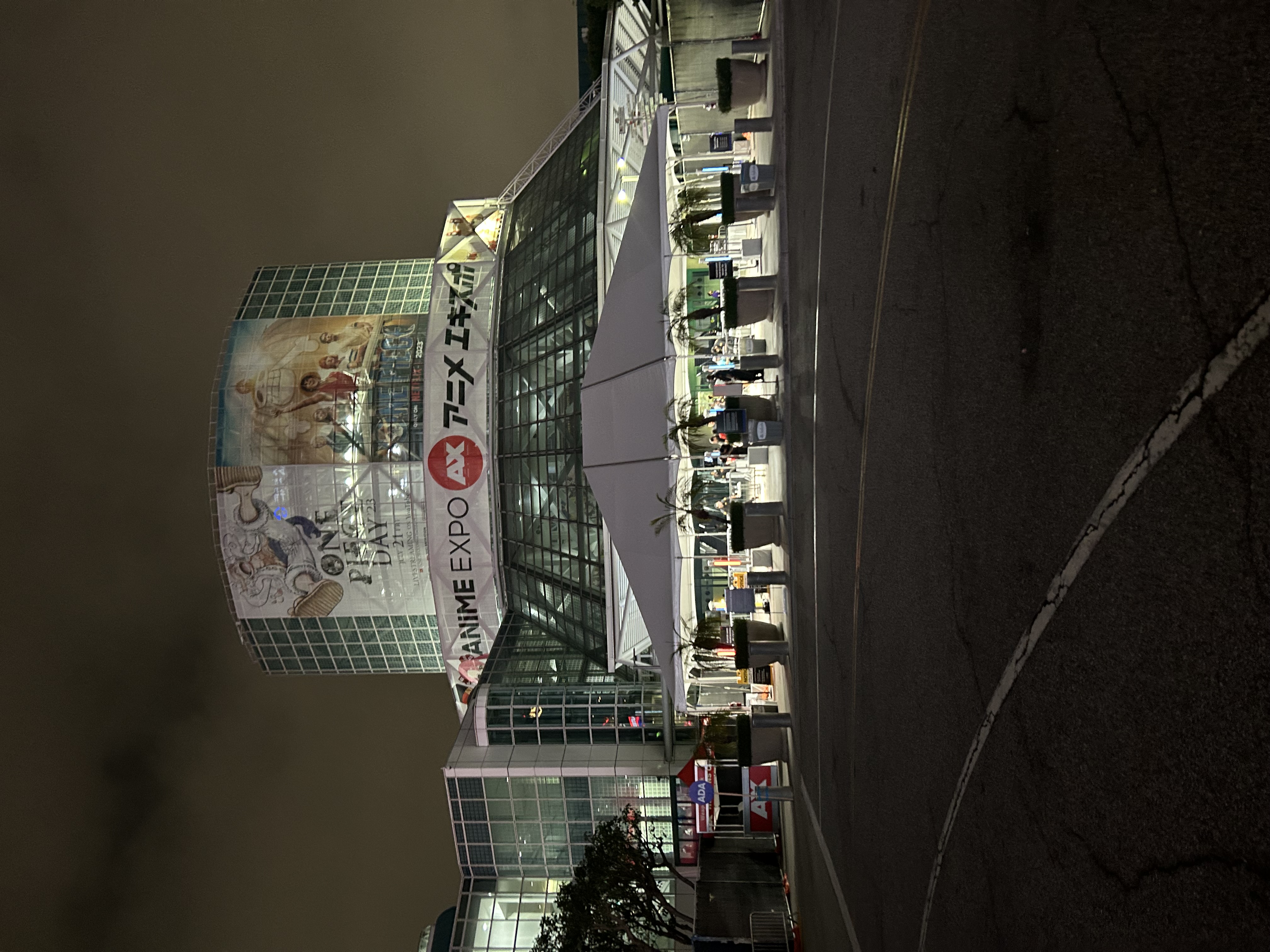 Anime Expo at Night