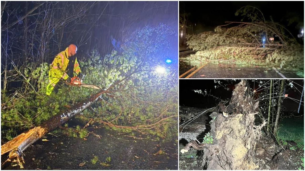 Storm Damage Monday, March 16, 2026 Storms 