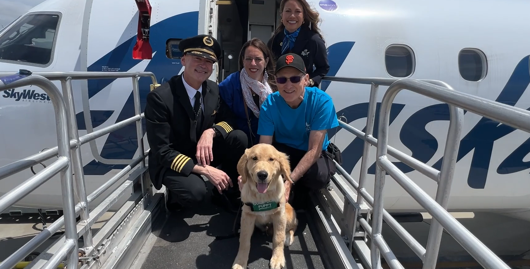 guide dogs train at airport