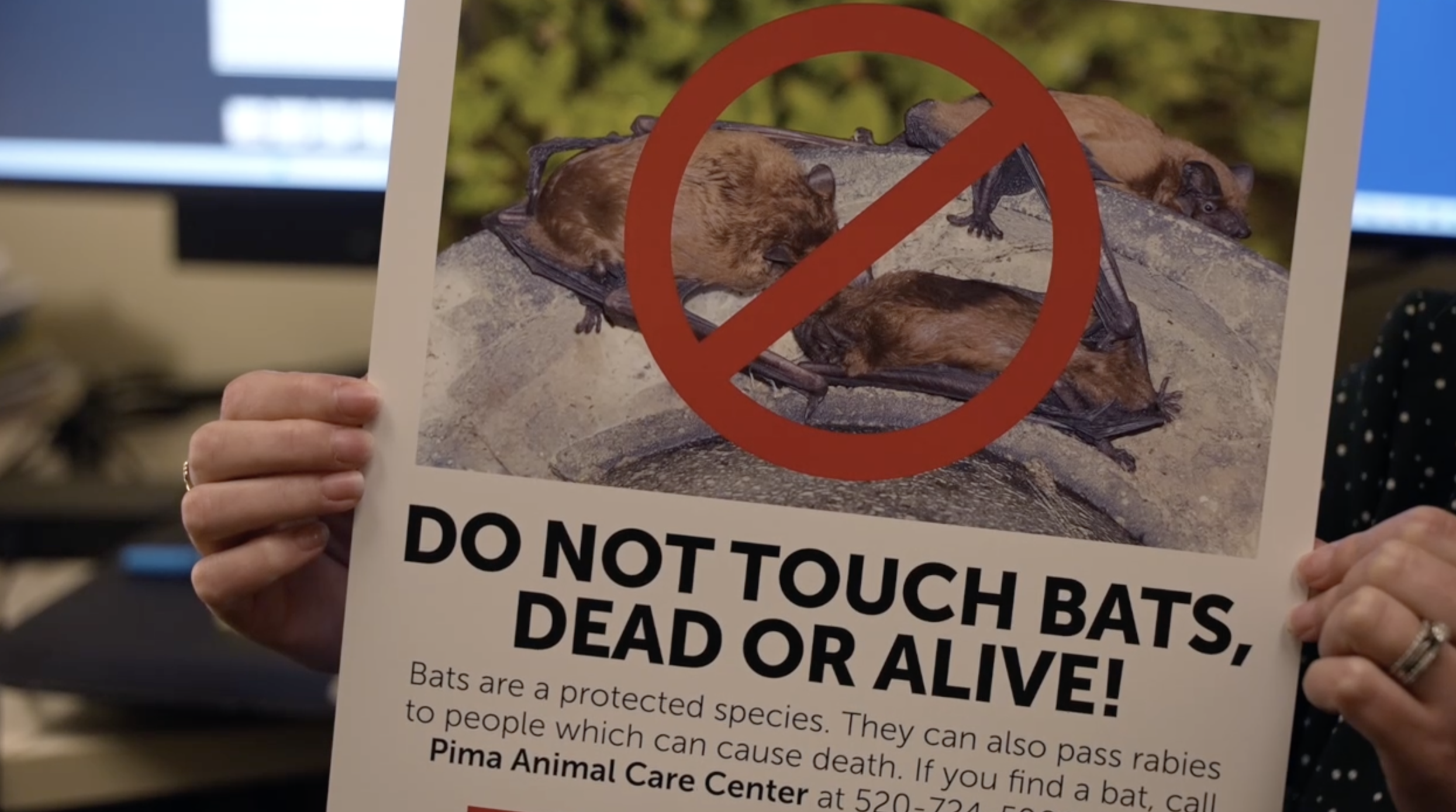 pchd bat exposure