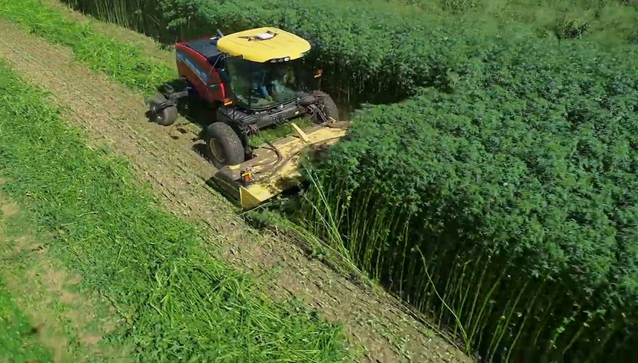 Hemp and New Holland Swather.jpg