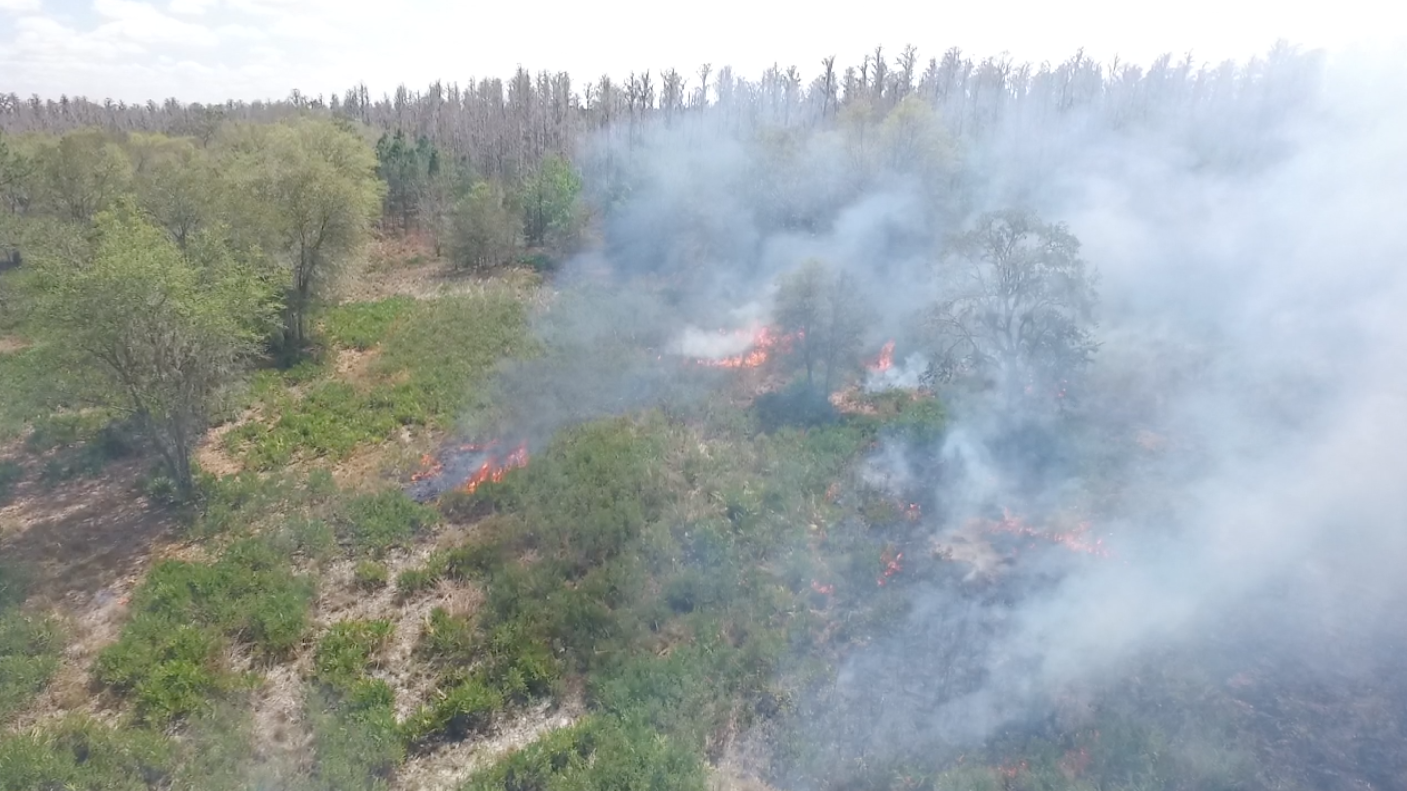 Prescribed fire