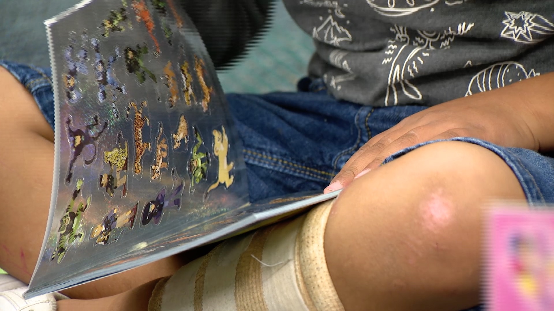 AFCEA Rocky Mountain Chapter donates $45,000 to buy books for kids