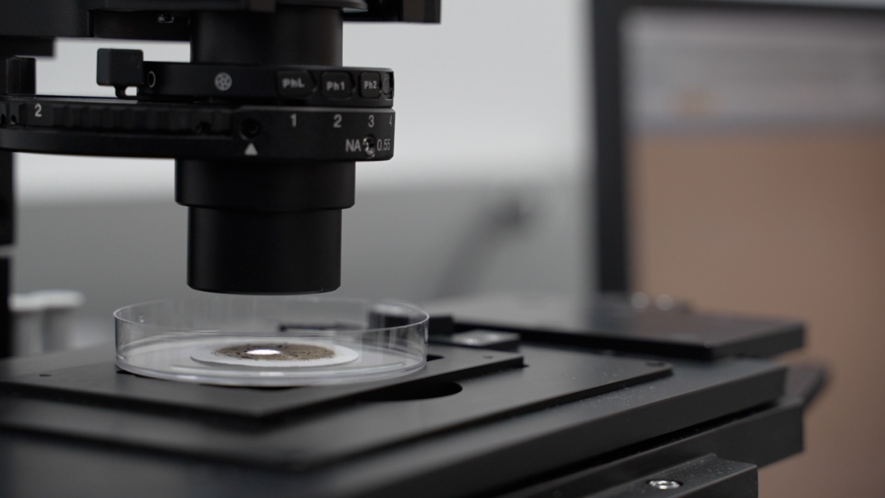 microscope.png