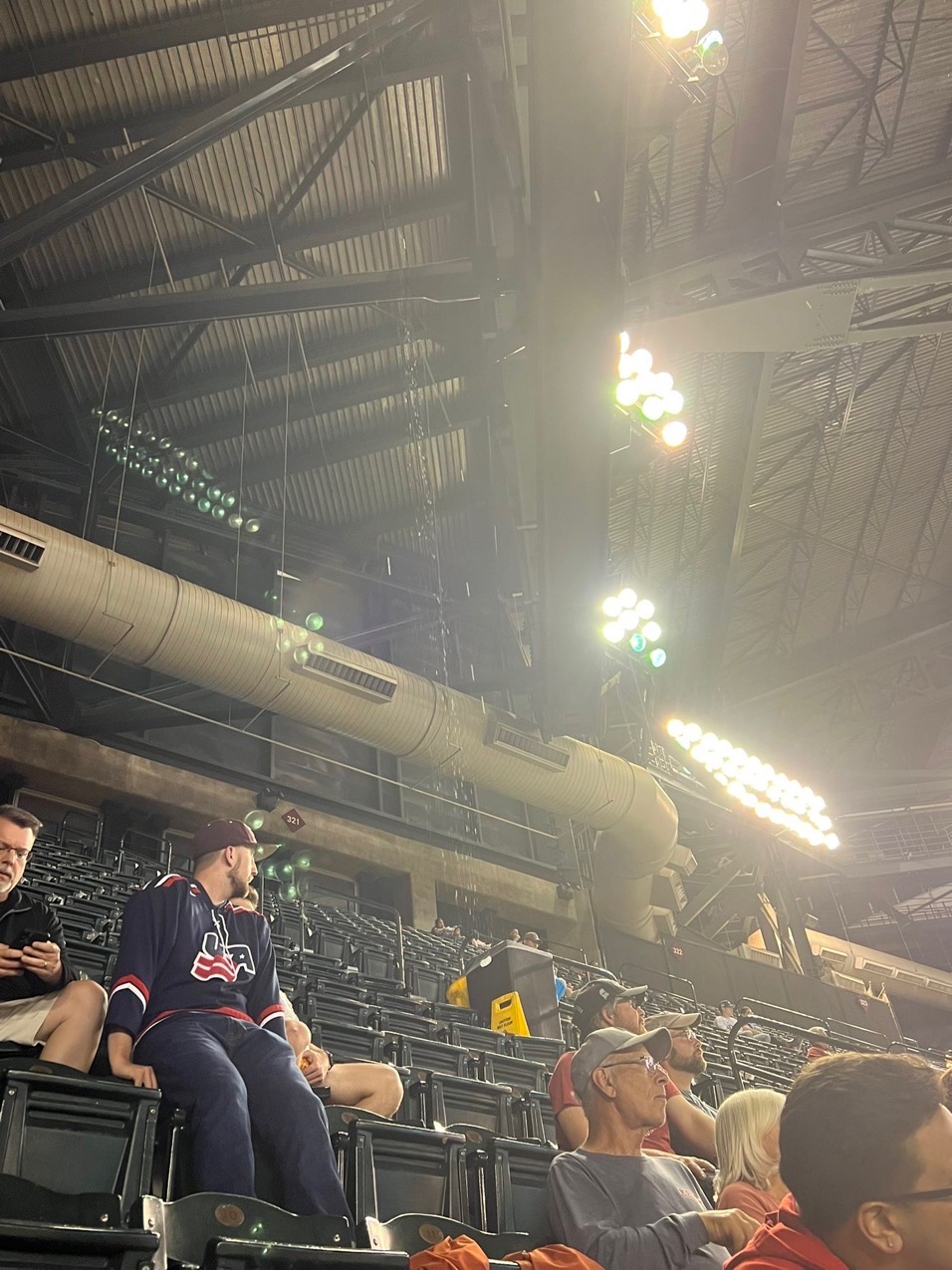 Chase Field roof leaks