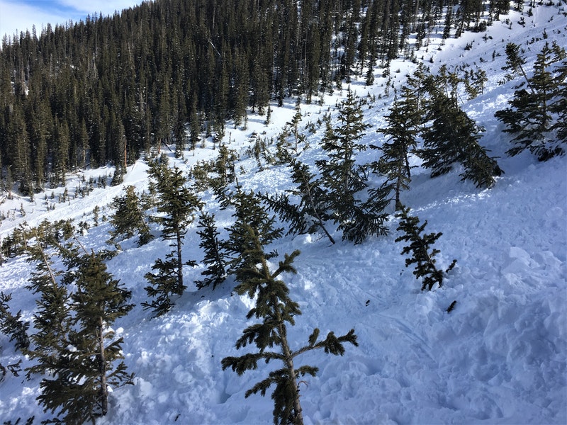 avalanche-ophir-pass.jpeg