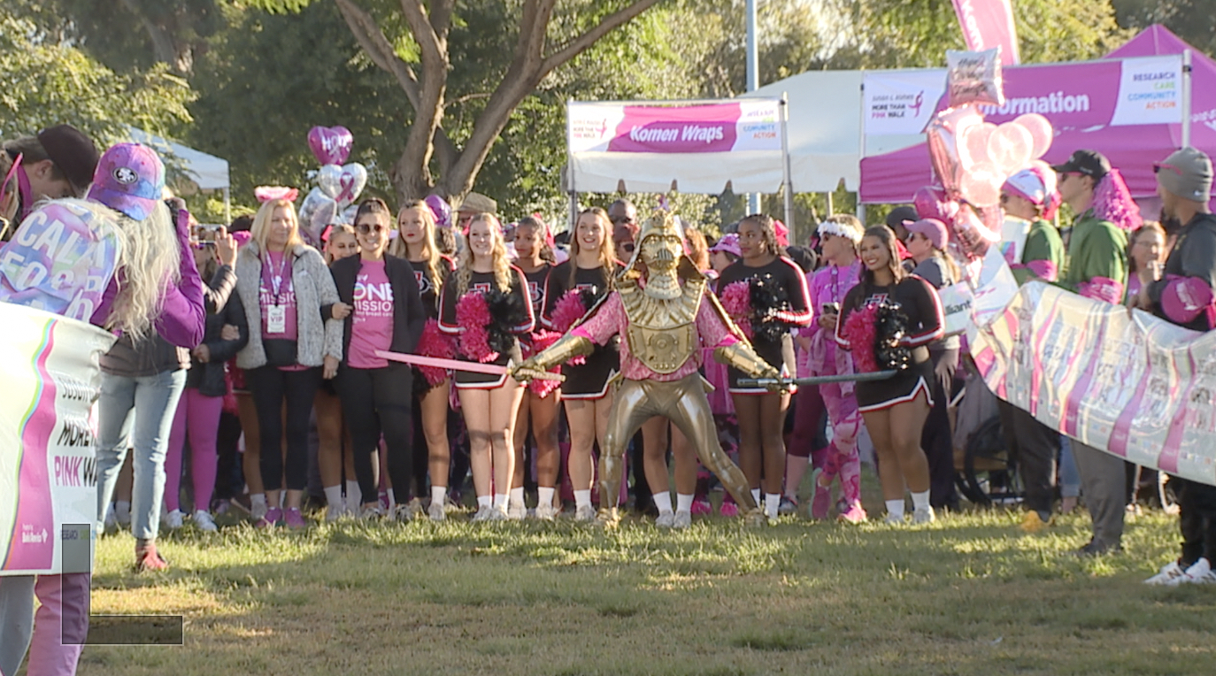 Susan G Komen More Than Pink Walk.jpg
