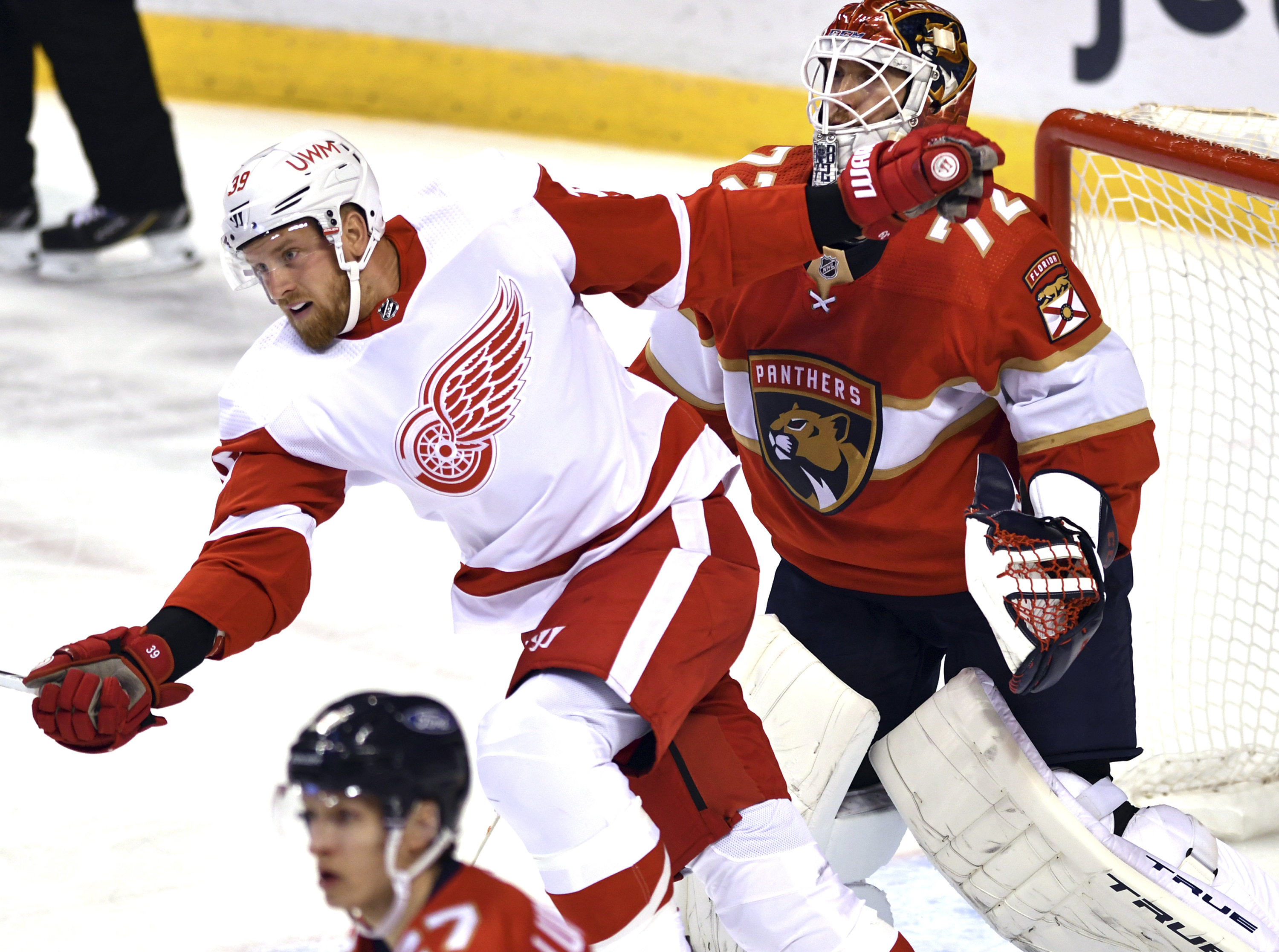 Panthers Red Wings Hockey Anthony Mantha