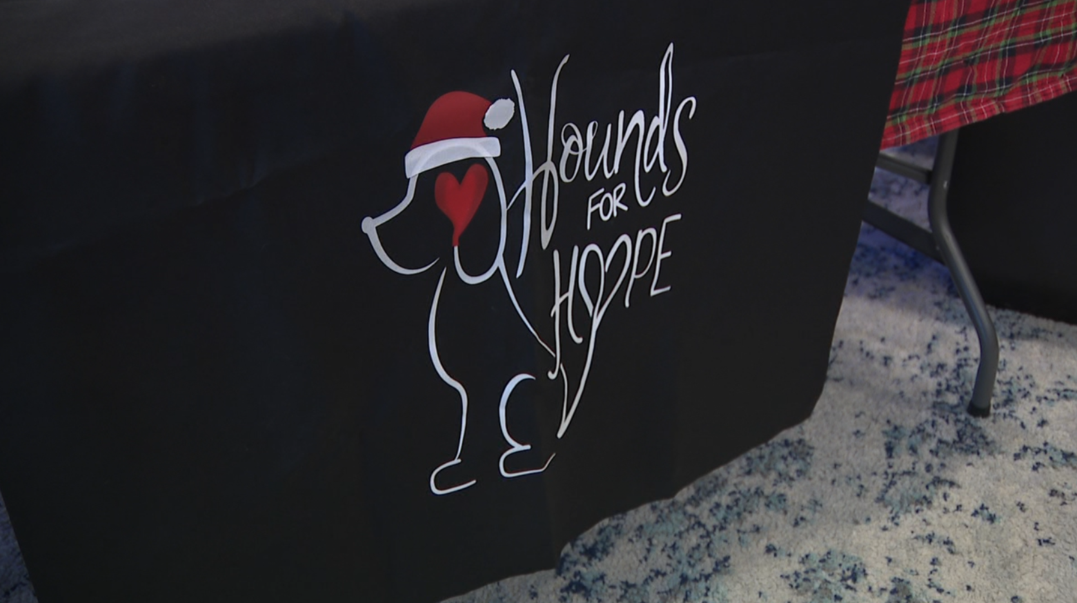 Couple provides Christmas cheer to families in the Tampa Bay area