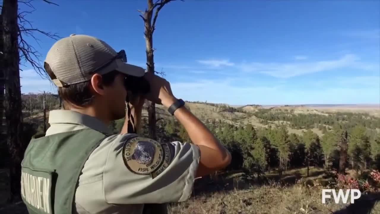 game warden fwp.jpg