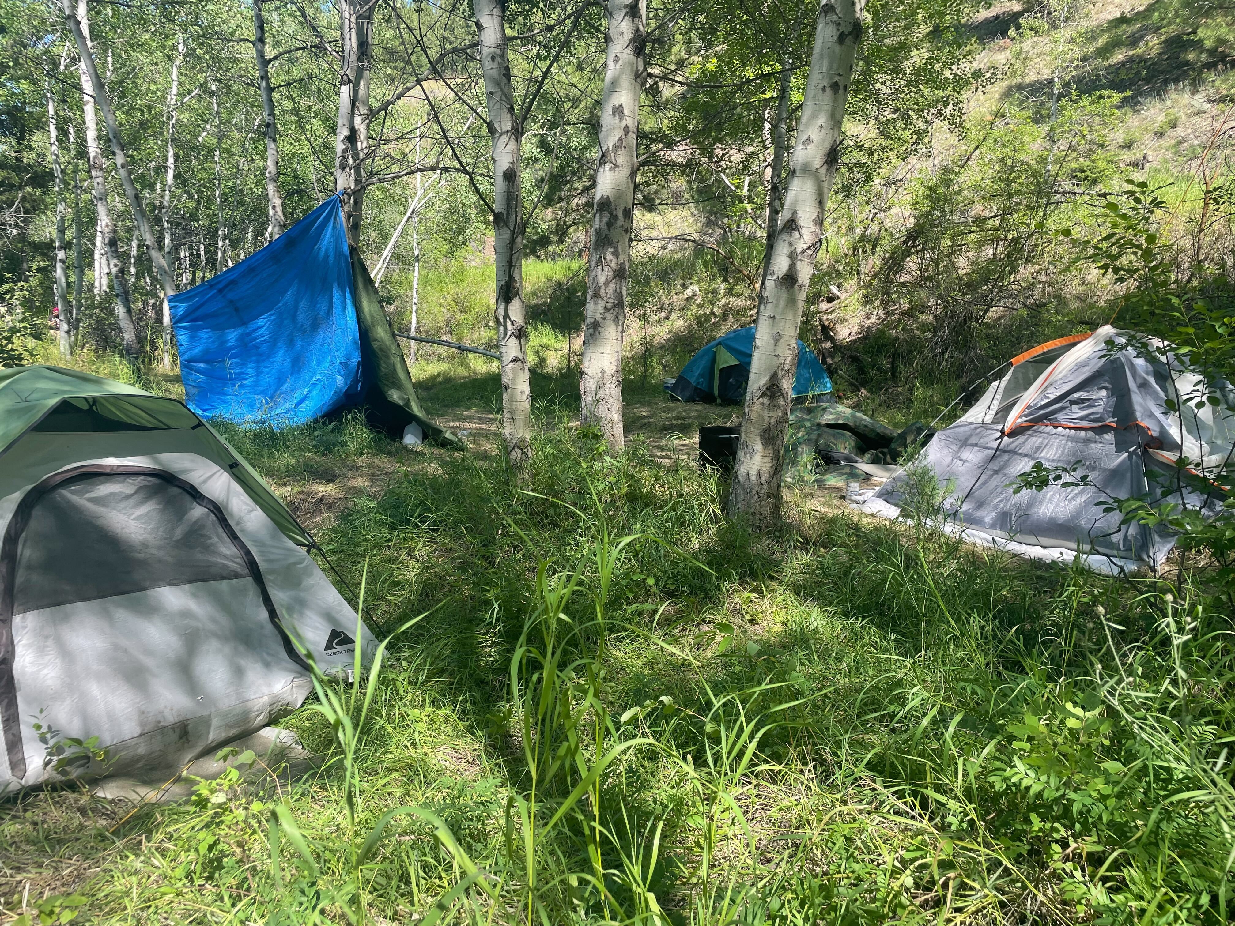 Oro Fino camp moving from private land to nearby Forest Service property
