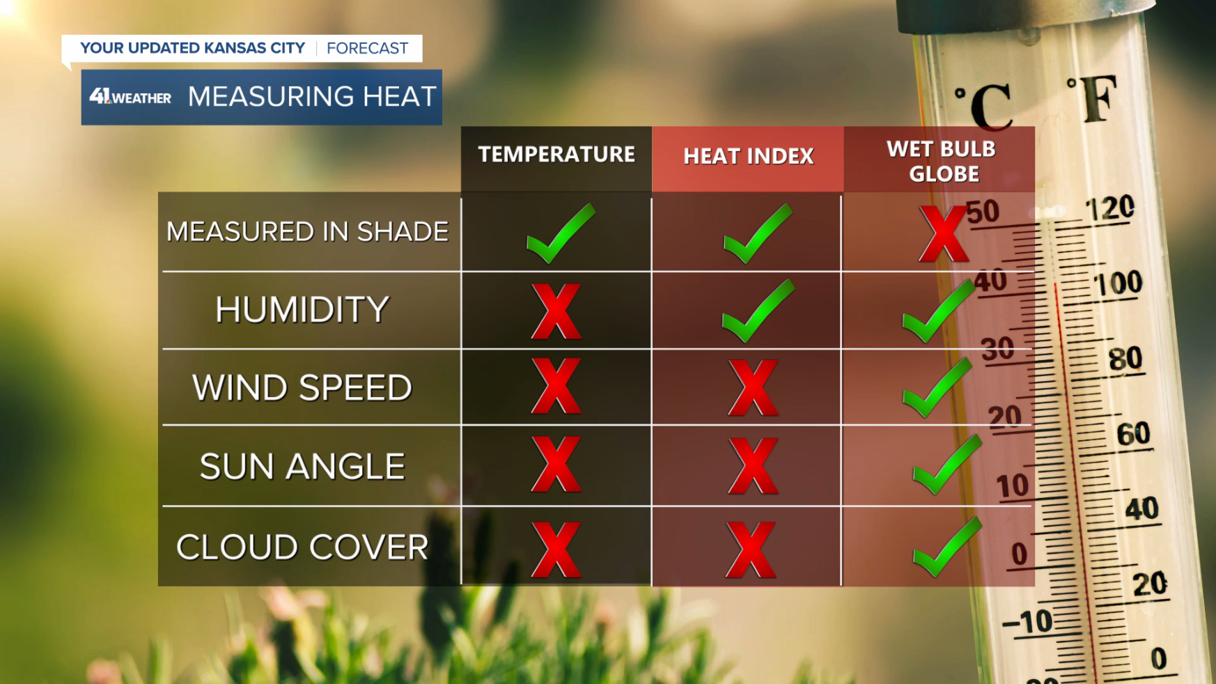 Wet Bulb Globe Differences