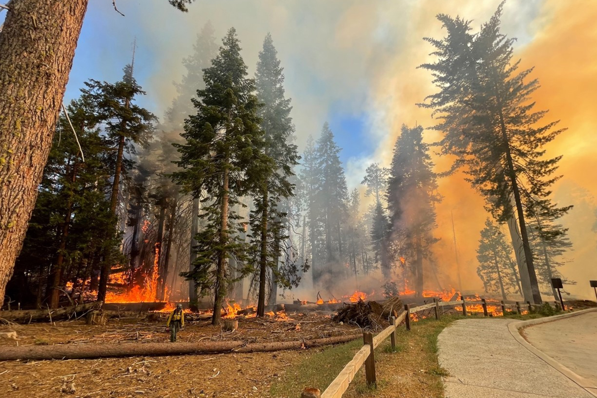 California Wildfires