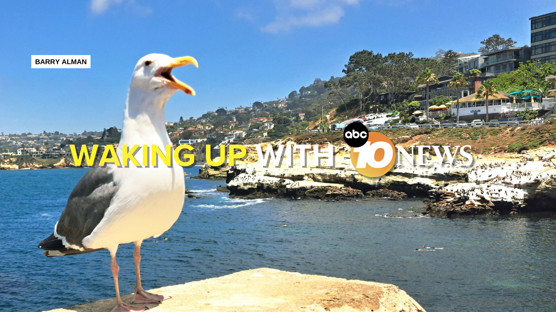 newsletter_barry_alman_la_jolla_bird_070725.png