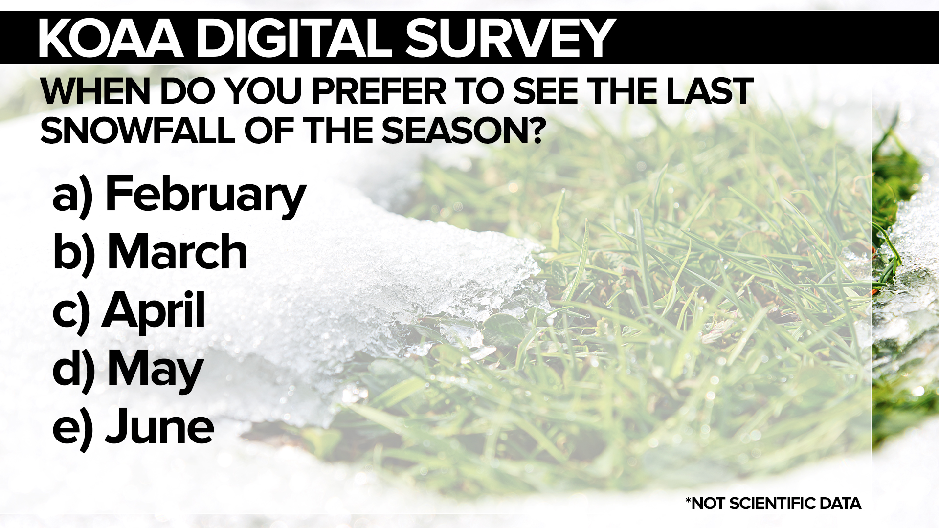 SURVEY Last Snow.jpg