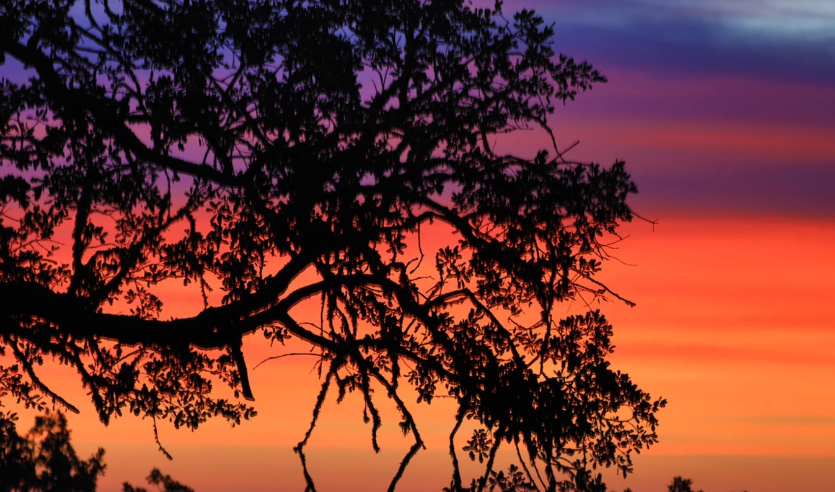 Paso Robles Morning Skies