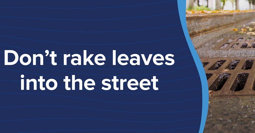 keep leaves away from storm drains