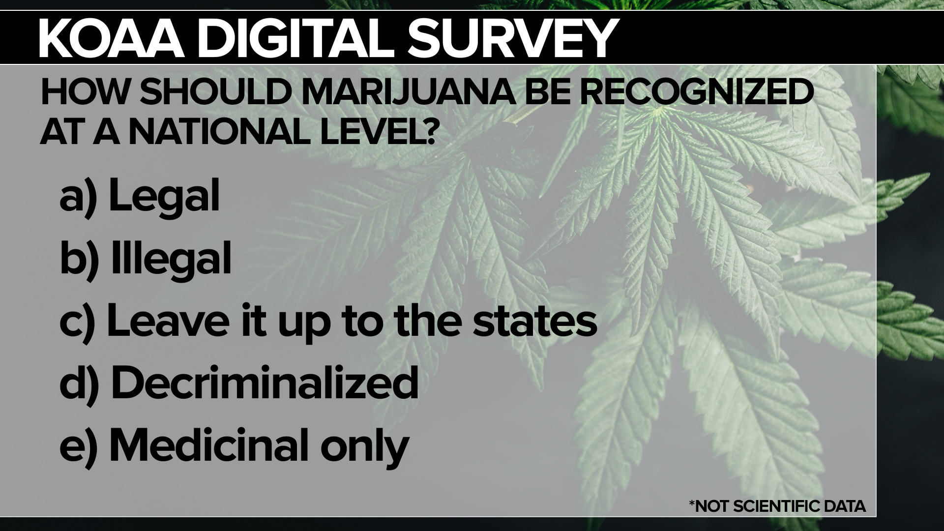 4/20 Survey