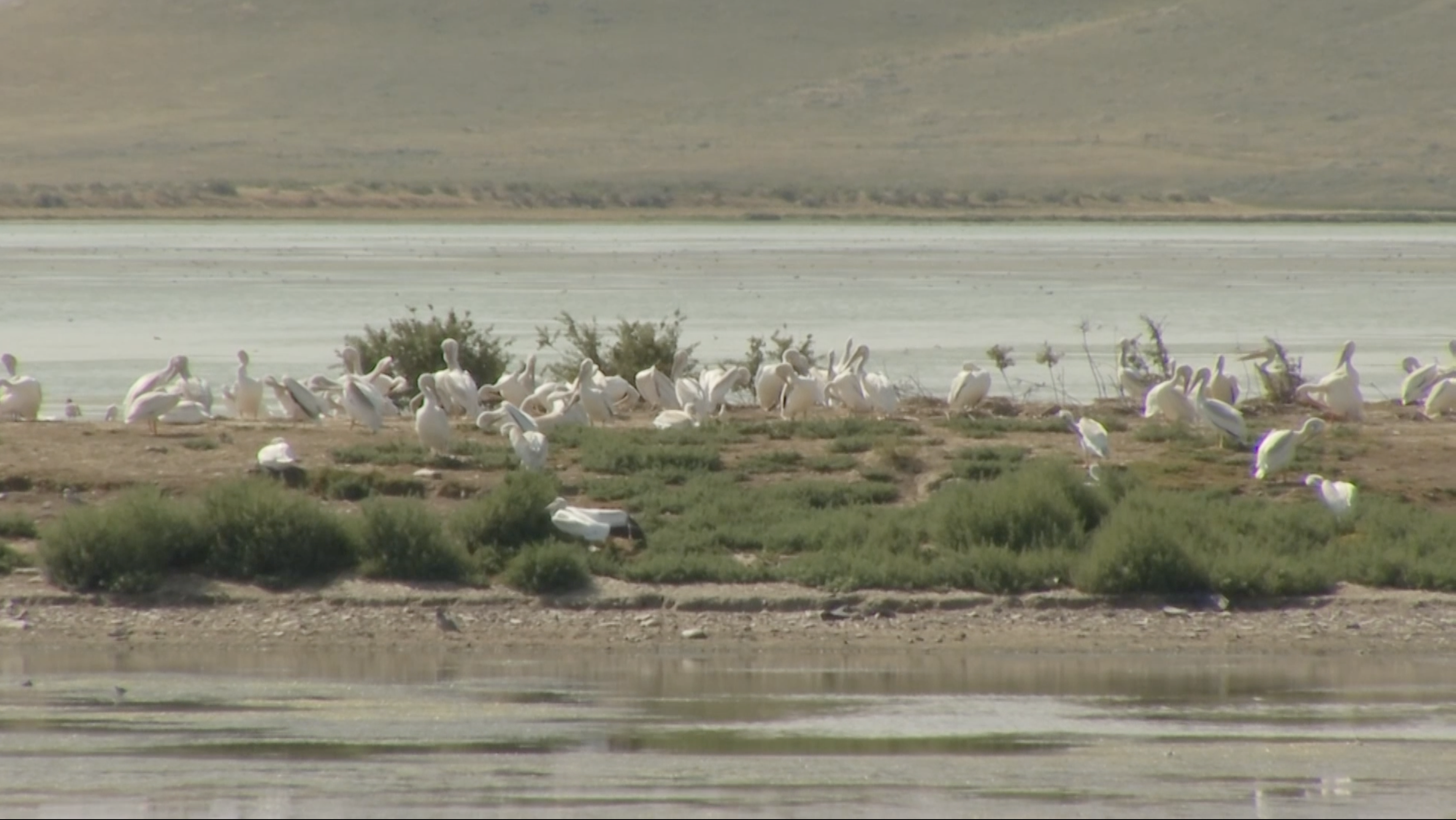 Screenshot 2024-08-13 at 9.40.35 PM.png