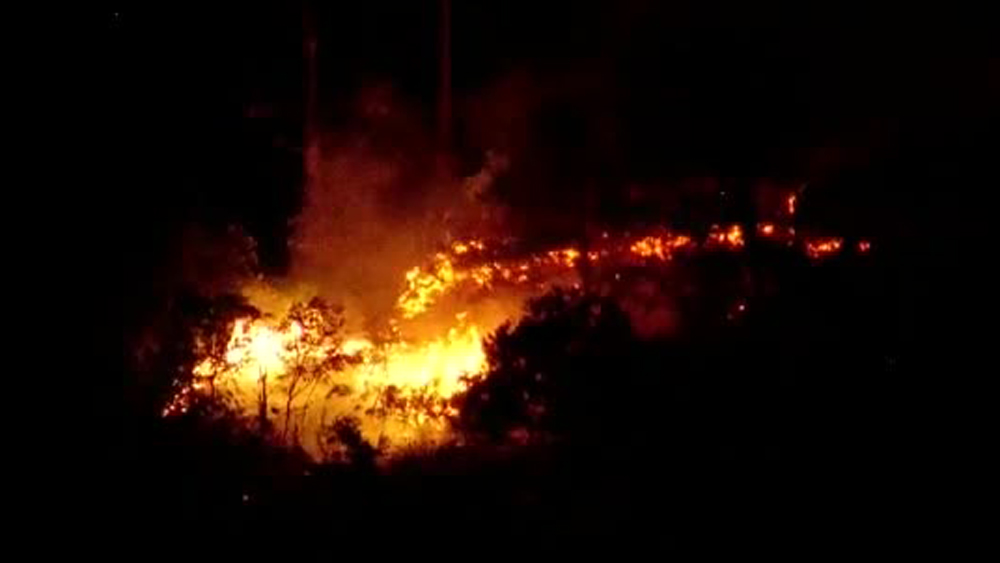 Authorities in northern Florida are battling a wildfire along I-95.