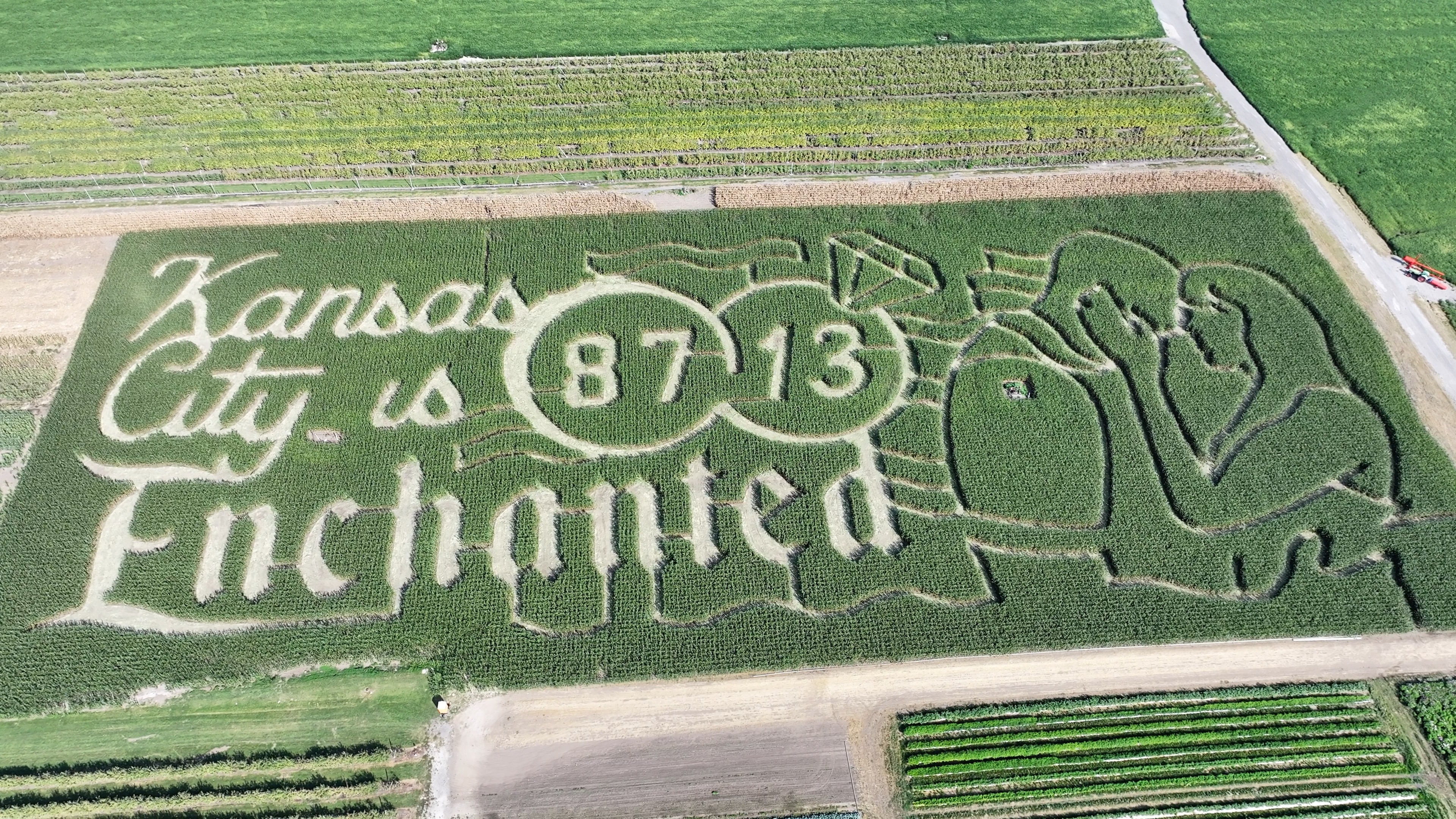 Corn Maze