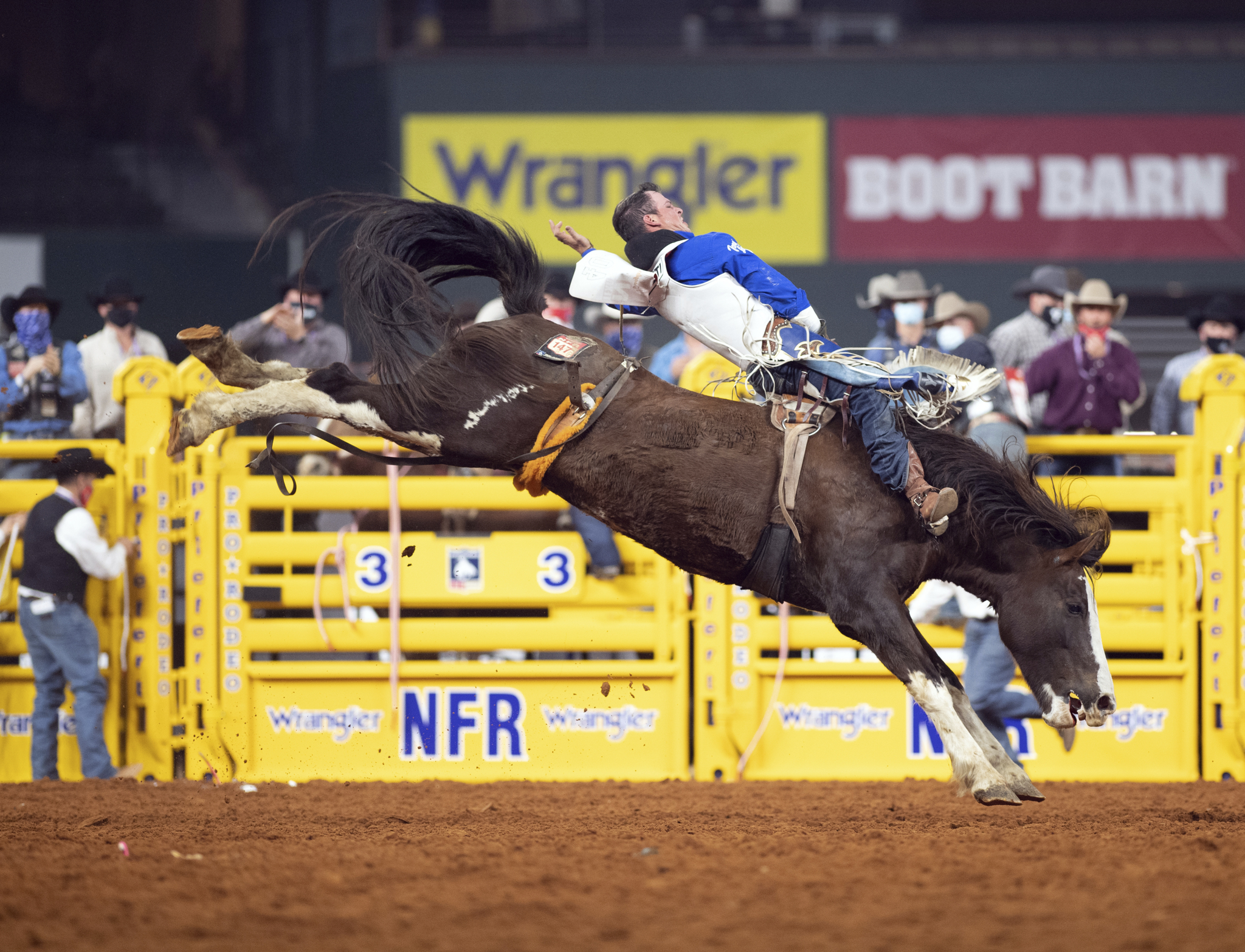 Richmond Champion NFR.jpg