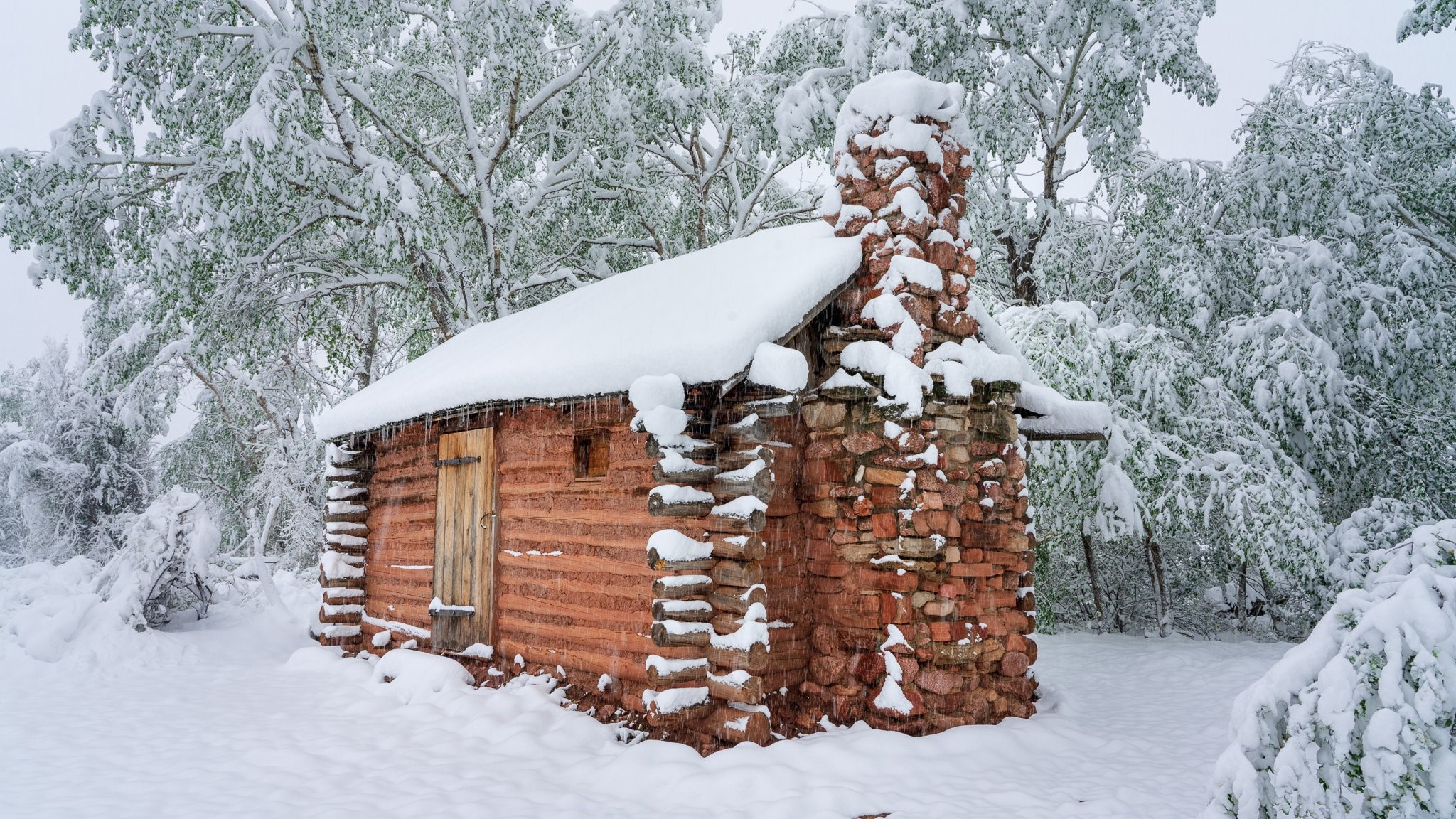 daniel forster snowy scene cos