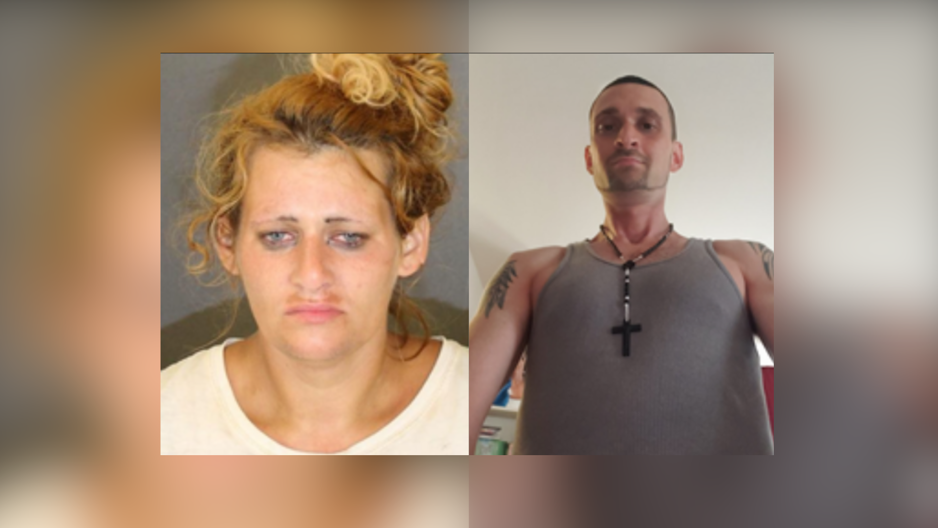 Carjacking suspects resized.png